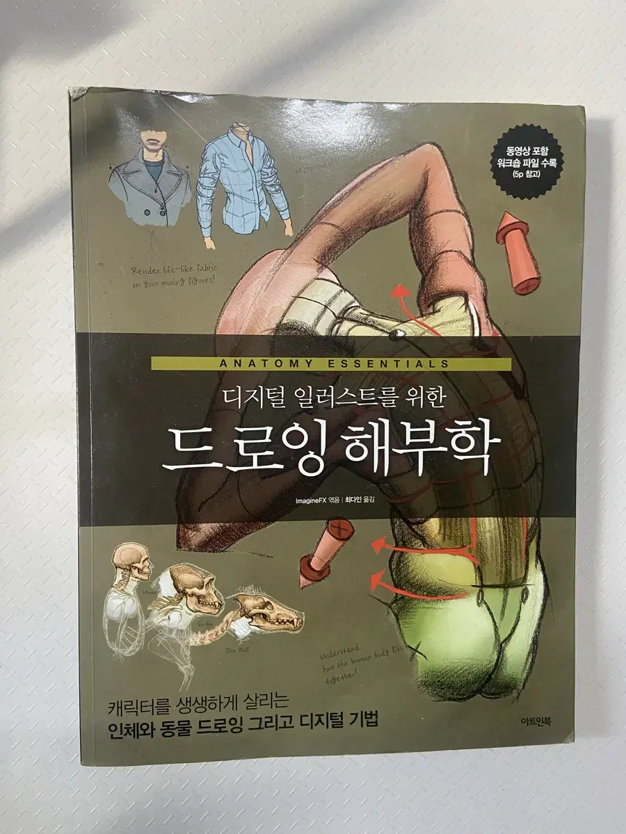 디지털 일러스트를 위한 드로잉 해부학